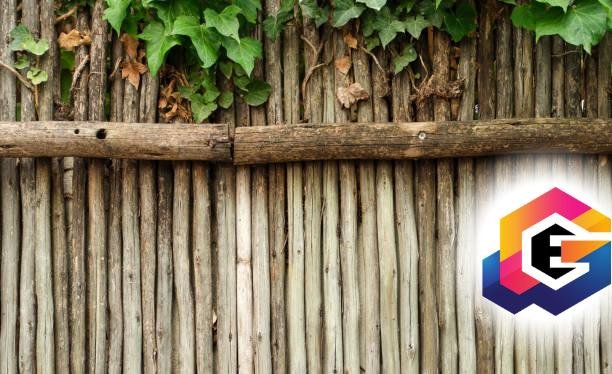 A Complete Guide to Wooden, Aluminum, and Living Fences